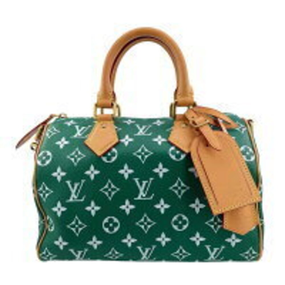 Louis Vuitton Handbag Green Speedy Shoulder Calfskin Bag Bandouliere - Picture 2 of 9